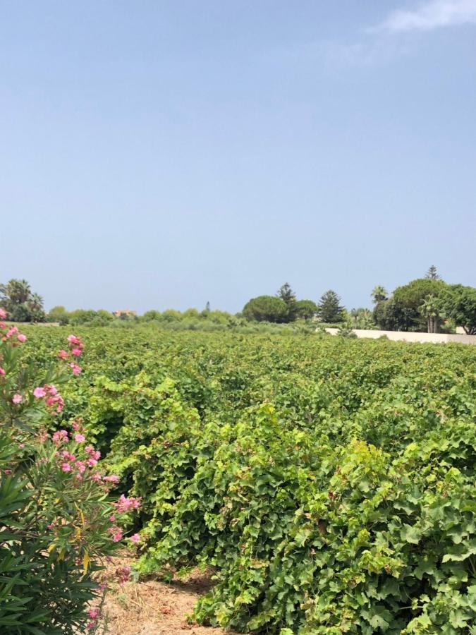 Vila Stella Marina Marsala Exteriér fotografie
